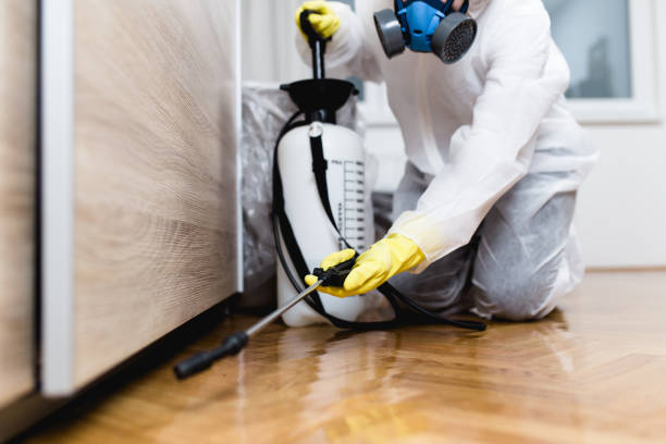Best Cockroach Control Services  in Clovis, NM