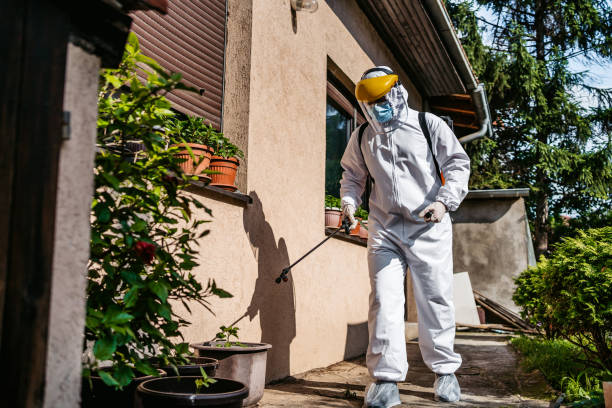 Reliable Clovis, NM Pest Control Solutions