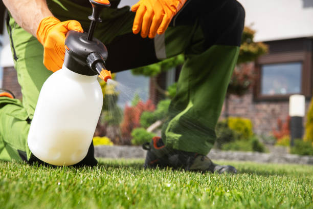 Best Pest Removal Services  in Clovis, NM