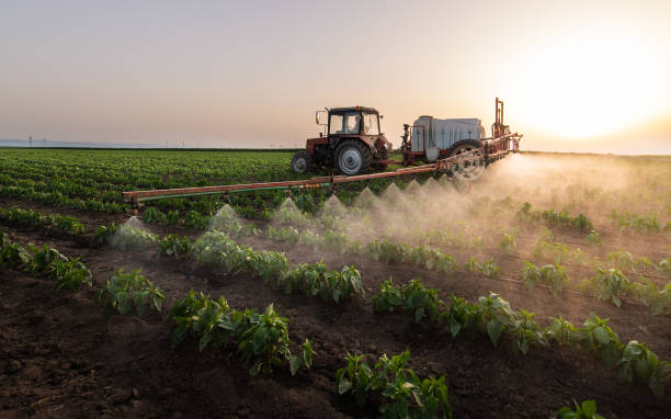 Best Best Pest Control Companies  in Clovis, NM
