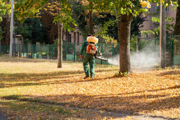 Best Pest Control for Homes  in Clovis, NM