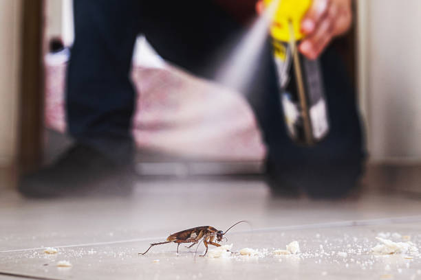 Best Best Pest Control Companies  in Clovis, NM
